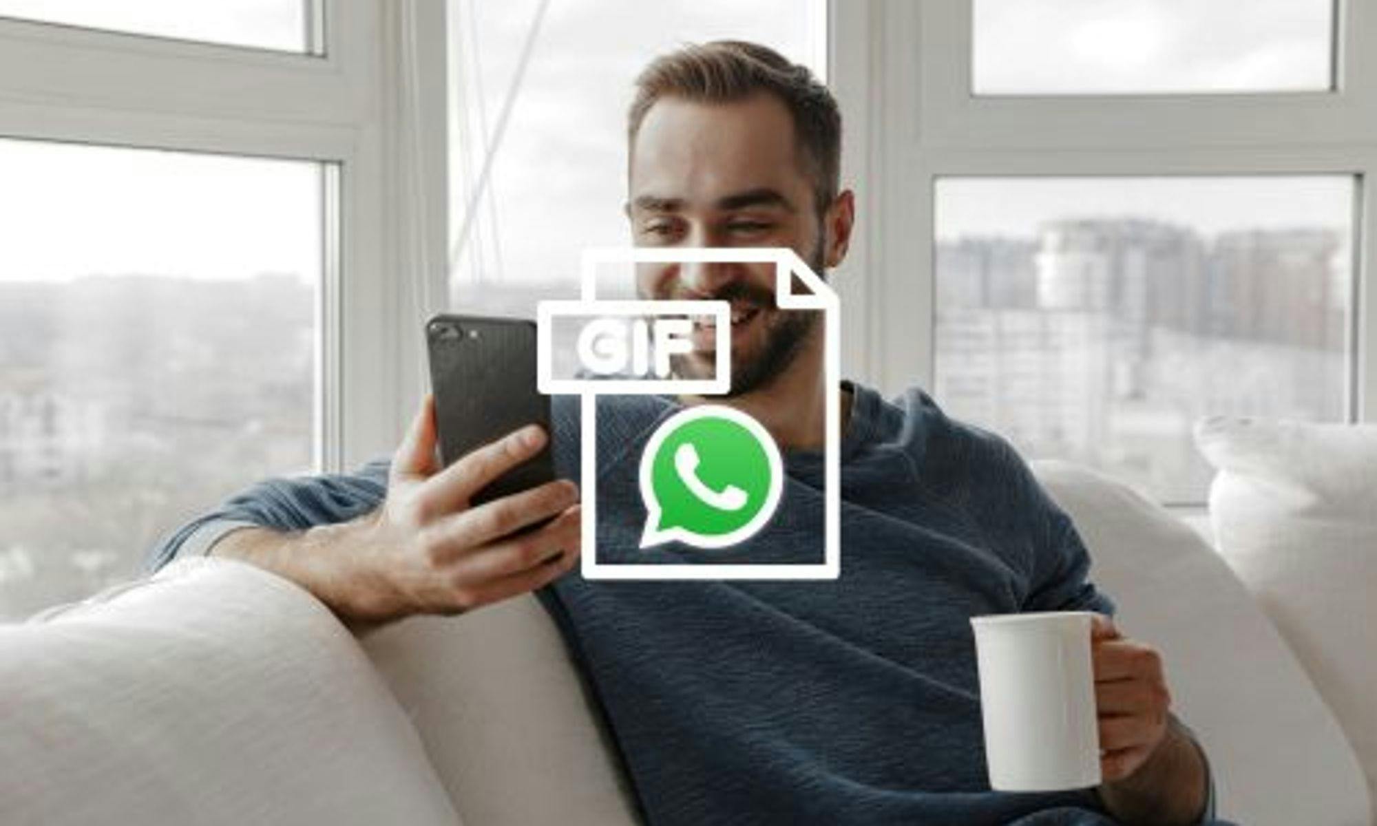 Sending GIFs on WhatsApp and WhatsApp Business
