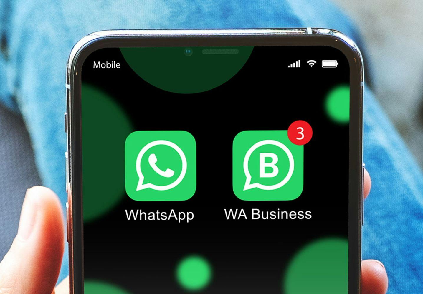 Screenshot of WhatsApp and WhatsApp Business installed on same device