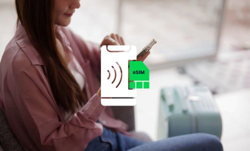 A Small Business Guide To eSIM Roaming