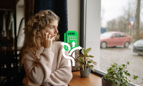 How Our Flexible eSIM Business Solutions Work