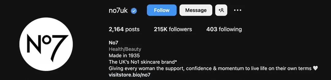 Instagram Bio Ideas - No7 example