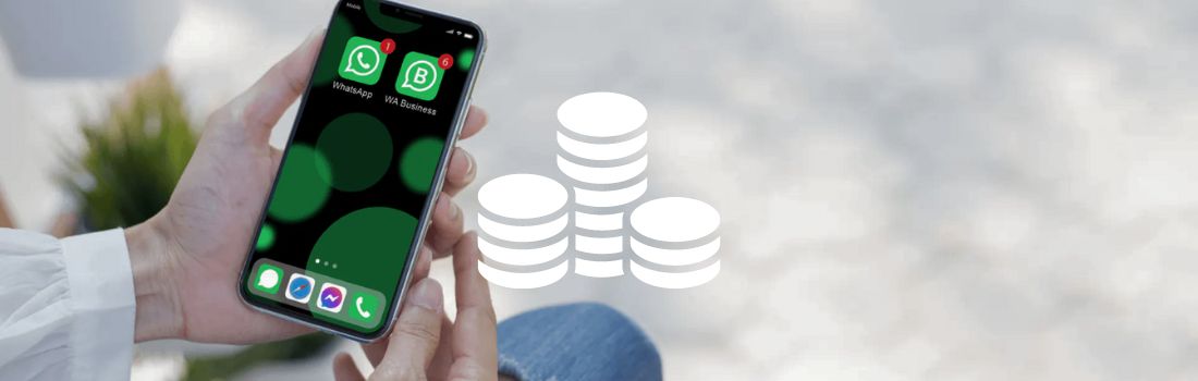 WhatsApp Business cost