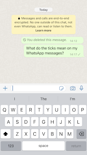 Why Is There Only One Tick On My WhatsApp Message why-is-there-only-one-tick-on-my-whatsapp-message