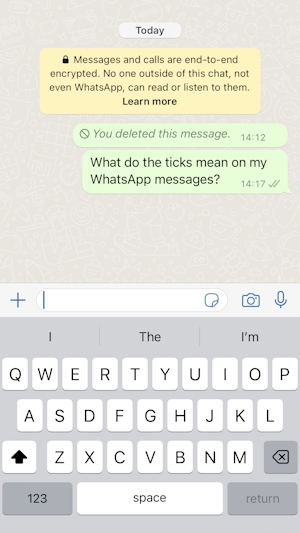 why-is-there-only-one-tick-on-my-whatsapp-message