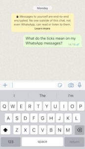 WhatsApp 2 tiques azuis