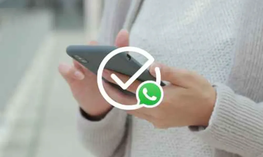 How To Get Your WhatsApp Verification